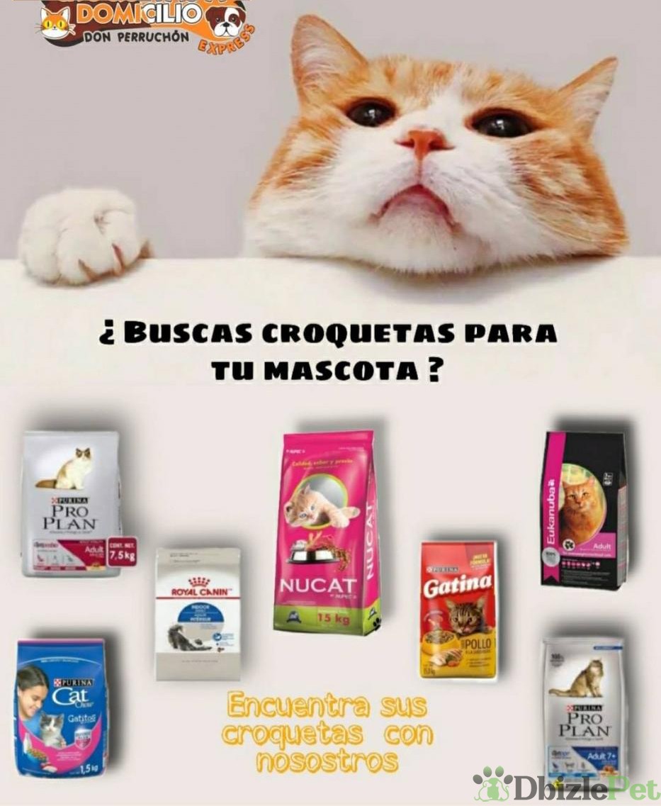 Croqueta a domicilio DON PERRUCHON