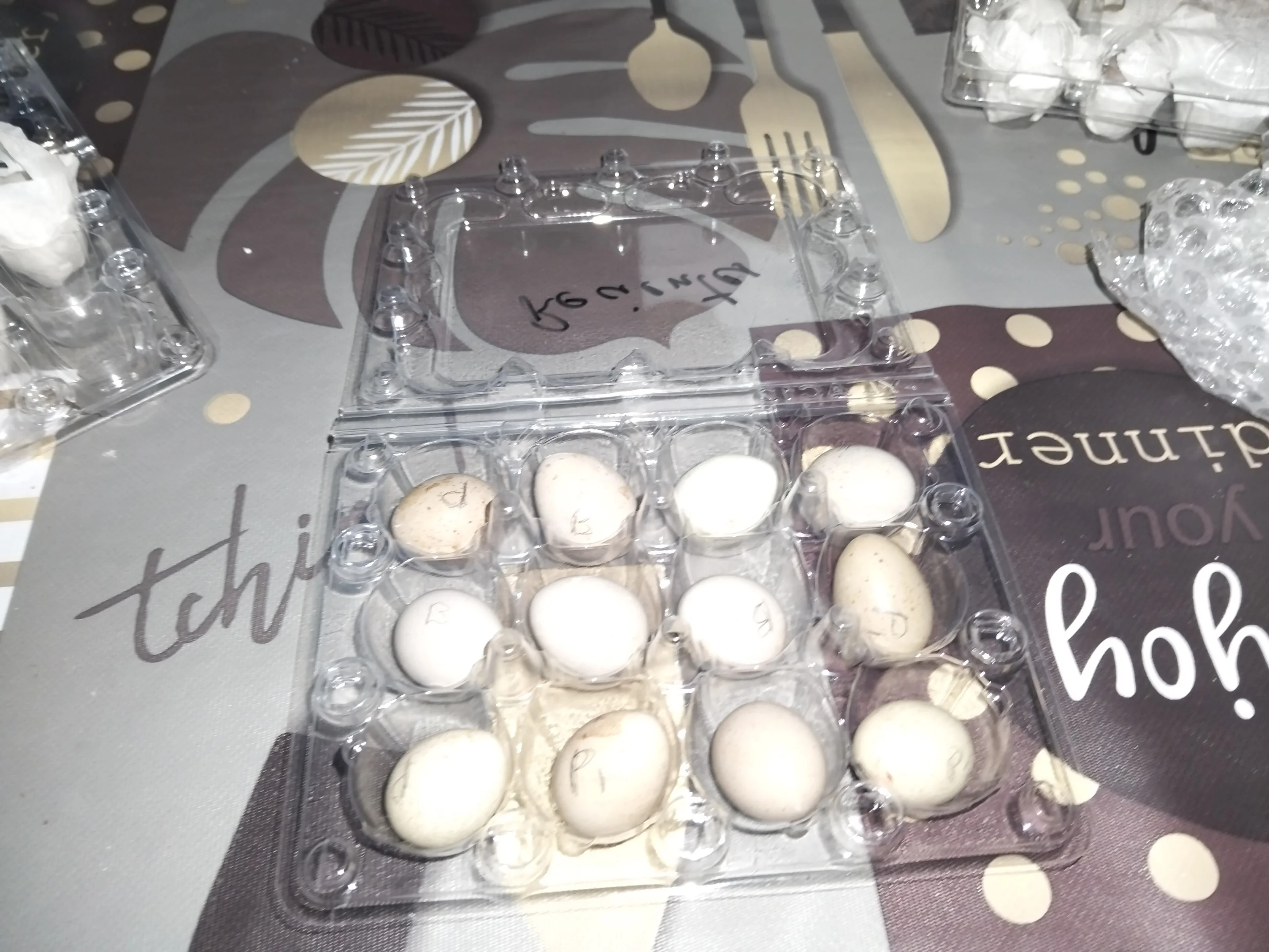 hueveras para huevos de tamaño pequeño